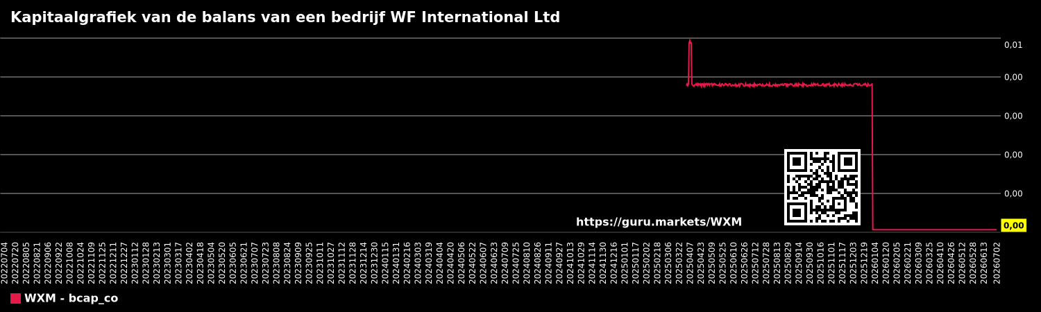 Kapitaalgrafiek van de balans van een bedrijf WF International Ltd